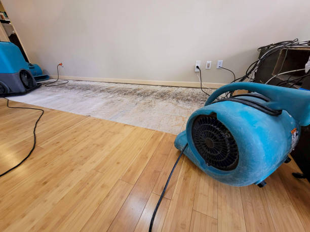 Professional Sewage Cleanup technician working in Raymond, CA